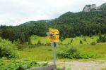 2014-07-05_Laengental-N-Hochweg (326). JPG